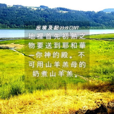 Picture 04 - 出 埃 及 記 23:19 CUVT - 地 裡 首 先 初 熟 之 物 要 送 到 耶 - Bible Verse Picture