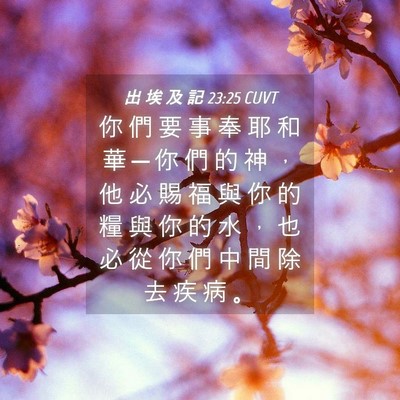 Picture 04 - 出 埃 及 記 23:25 CUVT - 你 們 要 事 奉 耶 和 華 ─ 你 們 的 - Bible Verse Picture