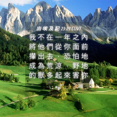 Picture 04 - 出 埃 及 記 23:29 CUVT - 我 不 在 一 年 之 內 將 他 們 從 你 - Bible Verse Picture