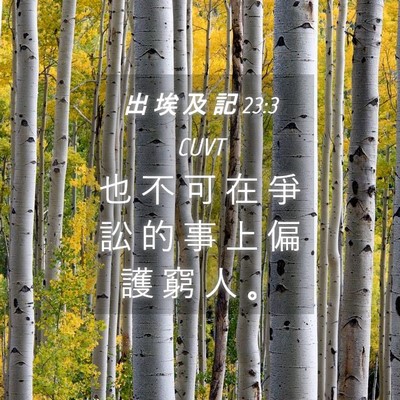 Picture 04 - 出 埃 及 記 23:3 CUVT - 也 不 可 在 爭 訟 的 事 上 偏 護 窮 - Bible Verse Picture