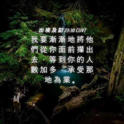 Picture 04 - 出 埃 及 記 23:30 CUVT - 我 要 漸 漸 地 將 他 們 從 你 面 前 - Bible Verse Picture
