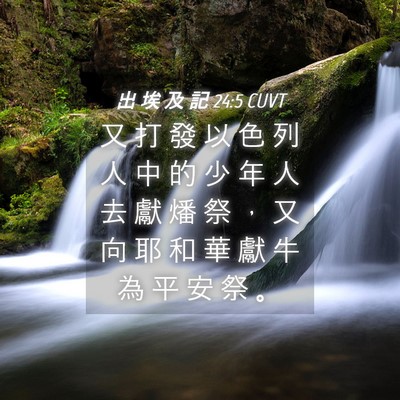 Picture 04 - 出 埃 及 記 24:5 CUVT - 又 打 發 以 色 列 人 中 的 少 年 人 - Bible Verse Picture