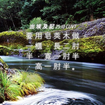 Picture 04 - 出 埃 及 記 25:10 CUVT - 要 用 皂 莢 木 做 一 櫃 ， 長 二 肘 - Bible Verse Picture