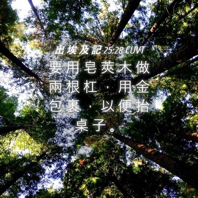 Picture 04 - 出 埃 及 記 25:28 CUVT - 要 用 皂 莢 木 做 兩 根 杠 ， 用 金 - Bible Verse Picture