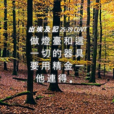 Picture 04 - 出 埃 及 記 25:39 CUVT - 做 燈 臺 和 這 一 切 的 器 具 要 用 - Bible Verse Picture