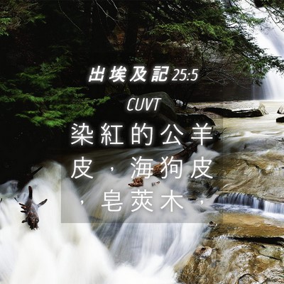 Picture 04 - 出 埃 及 記 25:5 CUVT - 染 紅 的 公 羊 皮 ， 海 狗 皮 ， 皂 - Bible Verse Picture