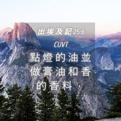 Picture 04 - 出 埃 及 記 25:6 CUVT - 點 燈 的 油 並 做 膏 油 和 香 的 香 - Bible Verse Picture