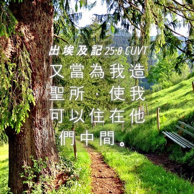 Picture 04 - 出 埃 及 記 25:8 CUVT - 又 當 為 我 造 聖 所 ， 使 我 可 以 - Bible Verse Picture
