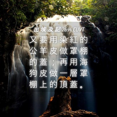 Picture 04 - 出 埃 及 記 26:14 CUVT - 又 要 用 染 紅 的 公 羊 皮 做 罩 棚 - Bible Verse Picture
