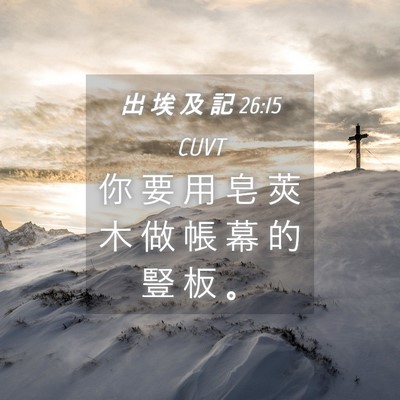 Picture 04 - 出 埃 及 記 26:15 CUVT - 你 要 用 皂 莢 木 做 帳 幕 的 豎 板 - Bible Verse Picture
