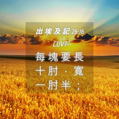 Picture 04 - 出 埃 及 記 26:16 CUVT - 每 塊 要 長 十 肘 ， 寬 一 肘 半 - Bible Verse Picture