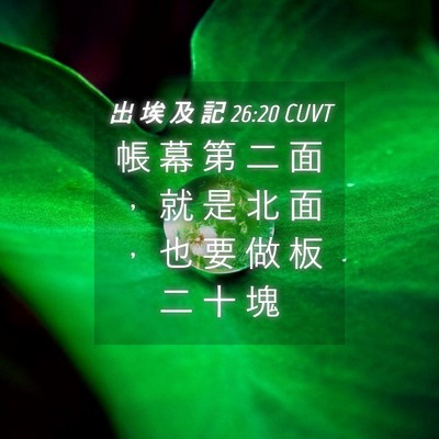 Picture 04 - 出 埃 及 記 26:20 CUVT - 帳 幕 第 二 面 ， 就 是 北 面 ， 也 - Bible Verse Picture