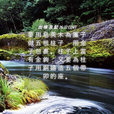 Picture 04 - 出 埃 及 記 26:37 CUVT - 要 用 皂 莢 木 為 簾 子 做 五 根 柱 - Bible Verse Picture