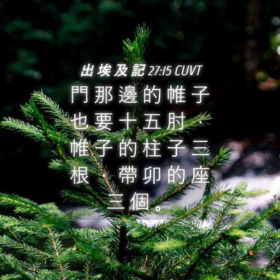Picture 04 - 出 埃 及 記 27:15 CUVT - 門 那 邊 的 帷 子 也 要 十 五 肘 ， - Bible Verse Picture