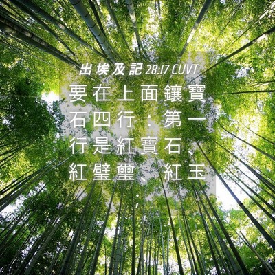 Picture 04 - 出 埃 及 記 28:17 CUVT - 要 在 上 面 鑲 寶 石 四 行 ： 第 一 - Bible Verse Picture