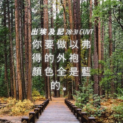 Picture 04 - 出 埃 及 記 28:31 CUVT - 你 要 做 以 弗 得 的 外 袍 ， 顏 色 - Bible Verse Picture