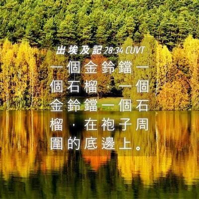 Picture 04 - 出 埃 及 記 28:34 CUVT - 一 個 金 鈴 鐺 一 個 石 榴 ， 一 個 - Bible Verse Picture