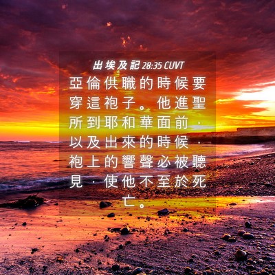 Picture 04 - 出 埃 及 記 28:35 CUVT - 亞 倫 供 職 的 時 候 要 穿 這 袍 子 - Bible Verse Picture