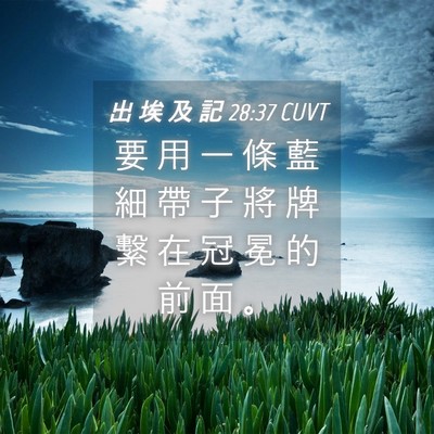 Picture 04 - 出 埃 及 記 28:37 CUVT - 要 用 一 條 藍 細 帶 子 將 牌 繫 在 - Bible Verse Picture