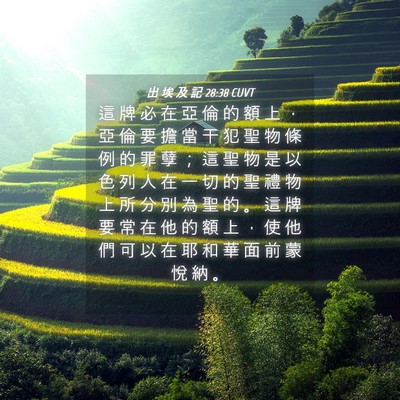 Picture 04 - 出 埃 及 記 28:38 CUVT - 這 牌 必 在 亞 倫 的 額 上 ， 亞 倫 - Bible Verse Picture