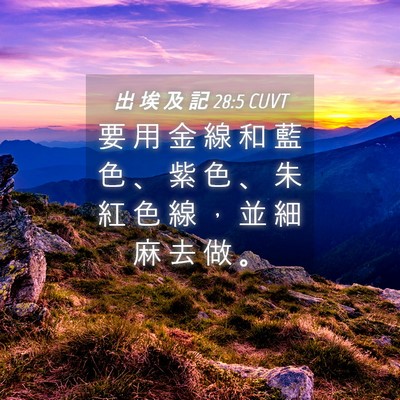 Picture 04 - 出 埃 及 記 28:5 CUVT - 要 用 金 線 和 藍 色 、 紫 色 、 朱 - Bible Verse Picture