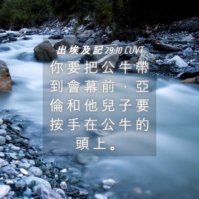 Picture 04 - 出 埃 及 記 29:10 CUVT - 你 要 把 公 牛 帶 到 會 幕 前 ， 亞 - Bible Verse Picture