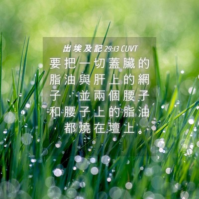 Picture 04 - 出 埃 及 記 29:13 CUVT - 要 把 一 切 蓋 臟 的 脂 油 與 肝 上 - Bible Verse Picture
