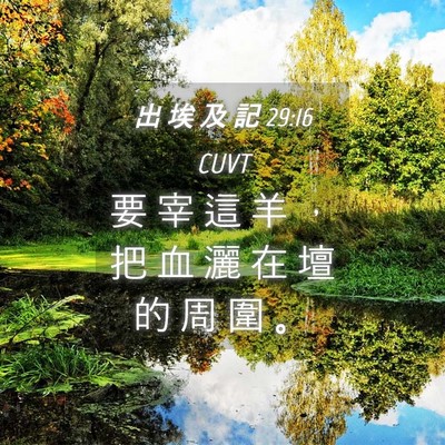 Picture 04 - 出 埃 及 記 29:16 CUVT - 要 宰 這 羊 ， 把 血 灑 在 壇 的 周 - Bible Verse Picture