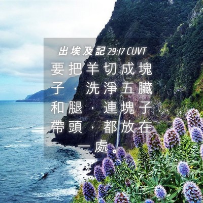 Picture 04 - 出 埃 及 記 29:17 CUVT - 要 把 羊 切 成 塊 子 ， 洗 淨 五 臟 - Bible Verse Picture