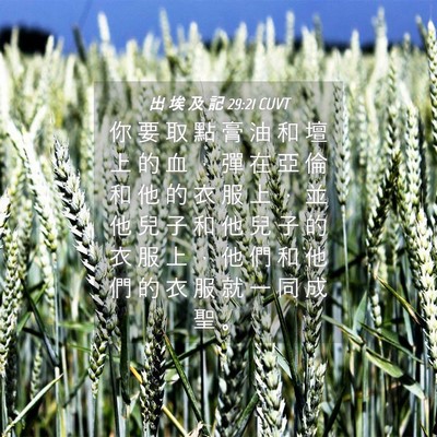 Picture 04 - 出 埃 及 記 29:21 CUVT - 你 要 取 點 膏 油 和 壇 上 的 血 ， - Bible Verse Picture