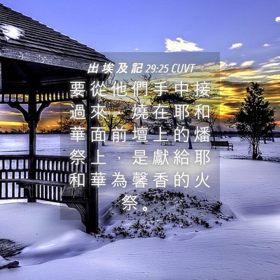 Picture 04 - 出 埃 及 記 29:25 CUVT - 要 從 他 們 手 中 接 過 來 ， 燒 在 - Bible Verse Picture