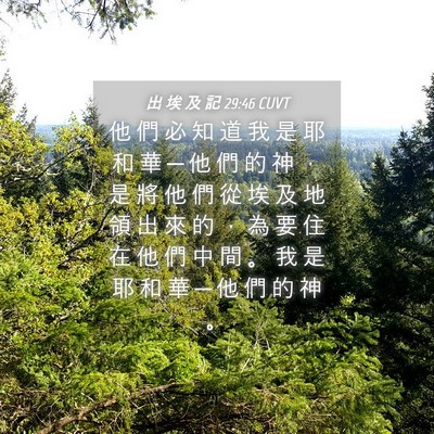 Picture 04 - 出 埃 及 記 29:46 CUVT - 他 們 必 知 道 我 是 耶 和 華 ─ 他 - Bible Verse Picture