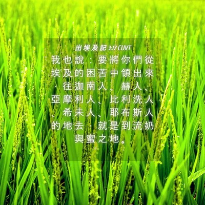 Picture 04 - 出 埃 及 記 3:17 CUVT - 我 也 說 ： 要 將 你 們 從 埃 及 的 - Bible Verse Picture
