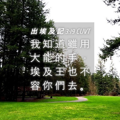 Picture 04 - 出 埃 及 記 3:19 CUVT - 我 知 道 雖 用 大 能 的 手 ， 埃 及 - Bible Verse Picture