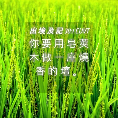Picture 04 - 出 埃 及 記 30:1 CUVT - 你 要 用 皂 莢 木 做 一 座 燒 香 的 - Bible Verse Picture