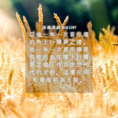 Picture 04 - 出 埃 及 記 30:10 CUVT - 亞 倫 一 年 一 次 要 在 壇 的 角 上 - Bible Verse Picture