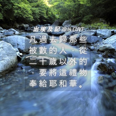 Picture 04 - 出 埃 及 記 30:14 CUVT - 凡 過 去 歸 那 些 被 數 的 人 ， 從 - Bible Verse Picture