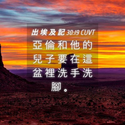 Picture 04 - 出 埃 及 記 30:19 CUVT - 亞 倫 和 他 的 兒 子 要 在 這 盆 裡 - Bible Verse Picture