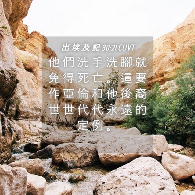 Picture 04 - 出 埃 及 記 30:21 CUVT - 他 們 洗 手 洗 腳 就 免 得 死 亡 。 - Bible Verse Picture