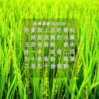 Picture 04 - 出 埃 及 記 30:23 CUVT - 你 要 取 上 品 的 香 料 ， 就 是 流 - Bible Verse Picture