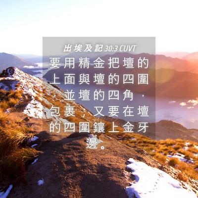 Picture 04 - 出 埃 及 記 30:3 CUVT - 要 用 精 金 把 壇 的 上 面 與 壇 的 - Bible Verse Picture