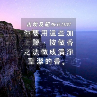 Picture 04 - 出 埃 及 記 30:35 CUVT - 你 要 用 這 些 加 上 鹽 ， 按 做 香 - Bible Verse Picture