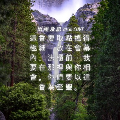 Picture 04 - 出 埃 及 記 30:36 CUVT - 這 香 要 取 點 搗 得 極 細 ， 放 在 - Bible Verse Picture