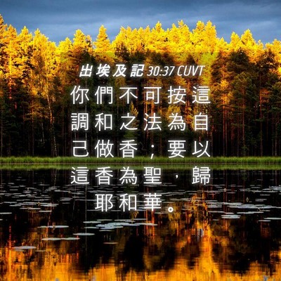 Picture 04 - 出 埃 及 記 30:37 CUVT - 你 們 不 可 按 這 調 和 之 法 為 自 - Bible Verse Picture