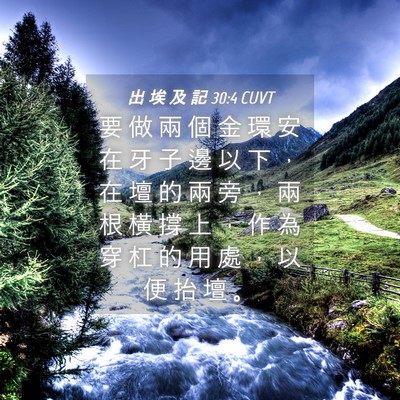 Picture 04 - 出 埃 及 記 30:4 CUVT - 要 做 兩 個 金 環 安 在 牙 子 邊 以 - Bible Verse Picture