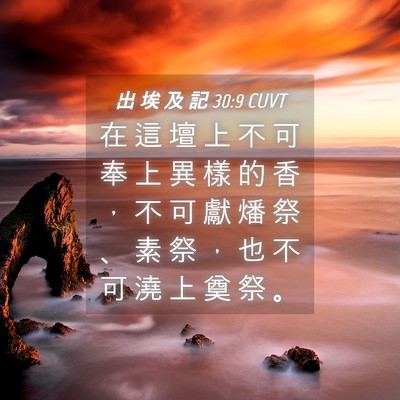 Picture 04 - 出 埃 及 記 30:9 CUVT - 在 這 壇 上 不 可 奉 上 異 樣 的 香 - Bible Verse Picture
