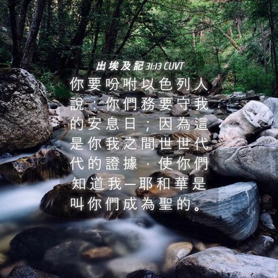 Picture 04 - 出 埃 及 記 31:13 CUVT - 你 要 吩 咐 以 色 列 人 說 ： 你 們 - Bible Verse Picture