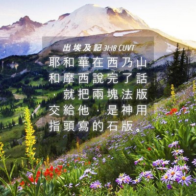Picture 04 - 出 埃 及 記 31:18 CUVT - 耶 和 華 在 西 乃 山 和 摩 西 說 完 - Bible Verse Picture