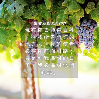 Picture 04 - 出 埃 及 記 32:34 CUVT - 現 在 你 去 領 這 百 姓 ， 往 我 所 - Bible Verse Picture