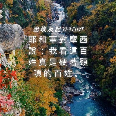 Picture 04 - 出 埃 及 記 32:9 CUVT - 耶 和 華 對 摩 西 說 ： 我 看 這 百 - Bible Verse Picture
